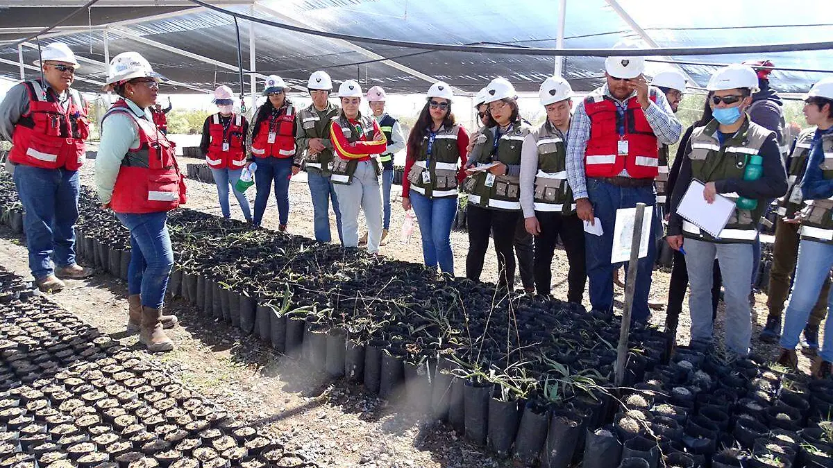 Proyecto de reforestación Orla Camino Rojo